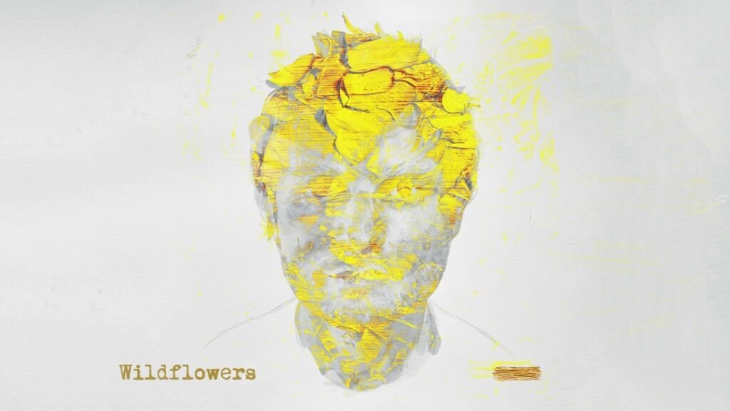 Wildflowers Lyrics » Ed Sheeran