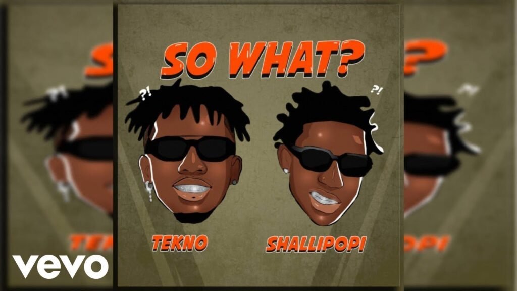 So What? Lyrics » Tekno & Shallipopi | Lyrics Over A2z